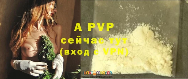 шишки Заволжск