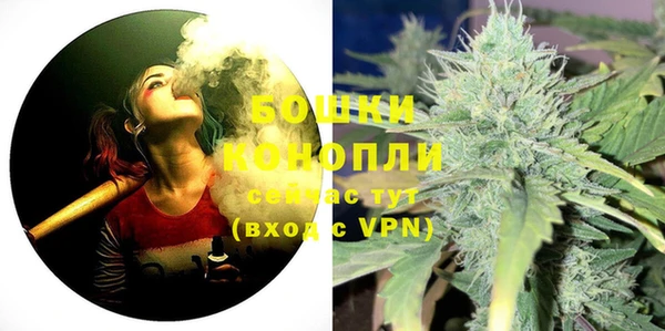крисы Зеленодольск