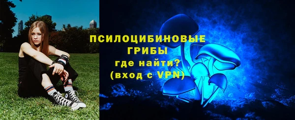 крисы Зеленодольск
