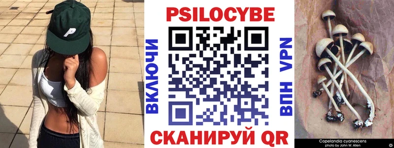 Псилоцибиновые грибы мухоморы Инта